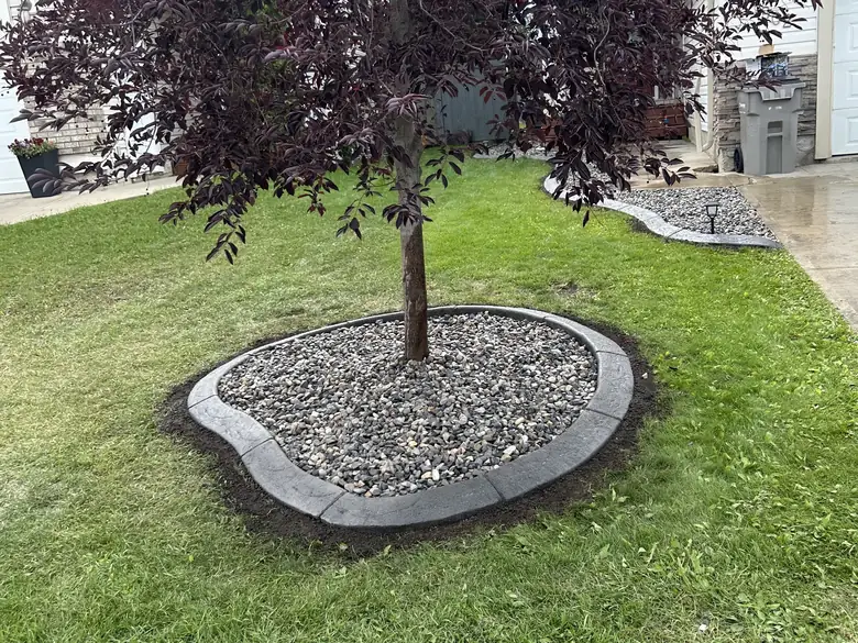 Concrete curbing and rock mulch ringing a tree in a front yard