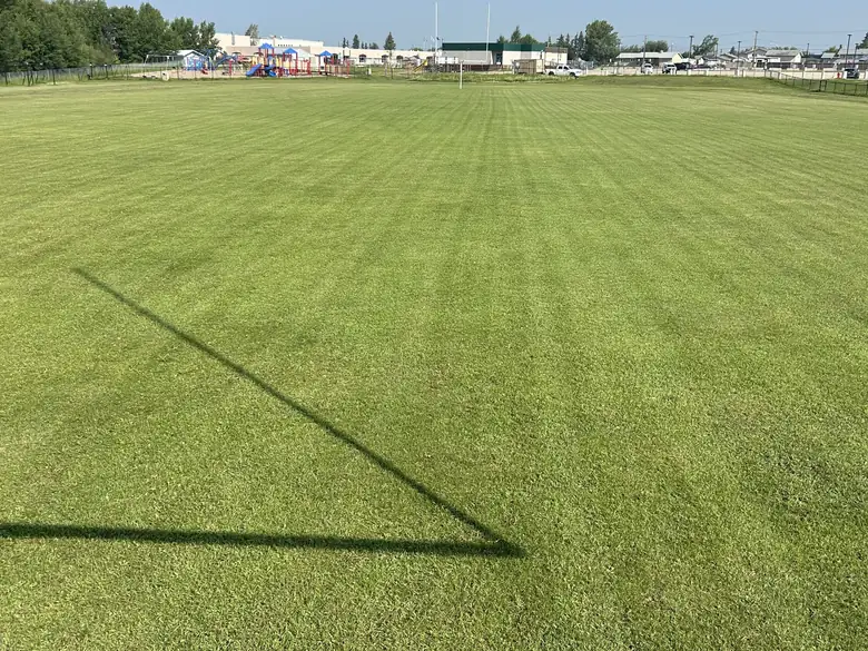 A large open turf area freshly cut